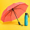 Umbrellas & Parasols — colorful product collection