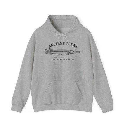 Ancient Texas — Unisex Hooded Sweatshirt
