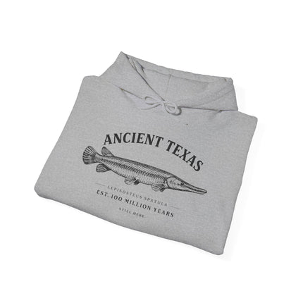 Ancient Texas — Unisex Hooded Sweatshirt