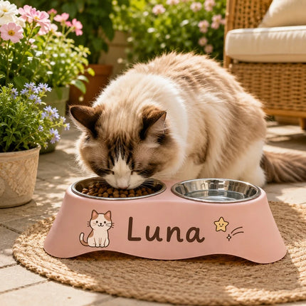 Custom Personalized Pet Name Dual Bowl Anti-Tip Spillproof PP Feeding Station Easy Clean Food Water Bowl for Dogs Cats
