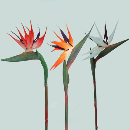 Bird of Paradise Flowers - artificial flowers for tropical home (photo 9 of 11)