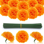 Orange / 30PCS