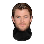 F29
