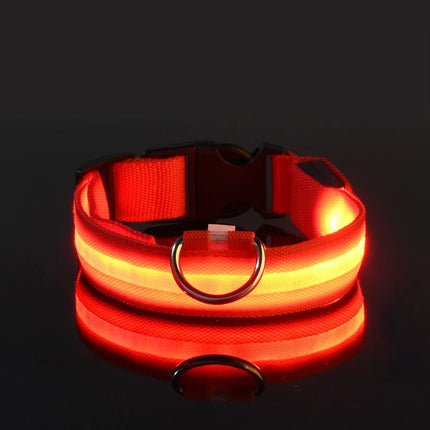 Nylon LED Night Safety Flashing Glow In The Dark Dog Leash Dogs Luminous Fluorescent Pet Dog Collar - product image from BSM
