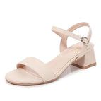 Apricot 4.5cm / 34