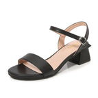 Black 4.5cm / 40