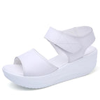 White / 40