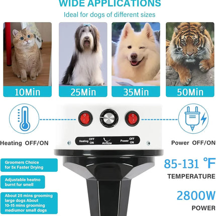 2800W Hair Dryer for Dogs Pet Grooming Blower Warm Wind Secador Fast Silent Pet Dryer Drying Machine Stepless Speed Regulation