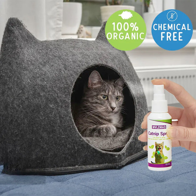 Catnip Spray for Cats, Cat Scratching Spray Mist, Transparent Cat & Kitten Behaviour Spray 60 ml Spray - product image 2