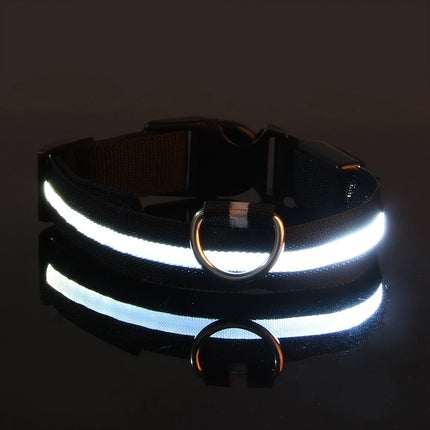 Nylon LED Night Safety Flashing Glow In The Dark Dog Leash Dogs Luminous Fluorescent Pet Dog Collar - product image from BSM