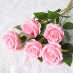 Silk clothB8 / 10PCS