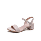 Apricot 4cm / 40