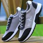 C12-Grey / 43