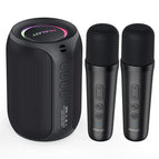 2 microphone / China Mainland