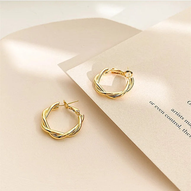 Needle Korean Twist Ear Ring Simple Earrings OL Commuter Exquisite Elegant Earrings All-match Earrings - product image 2