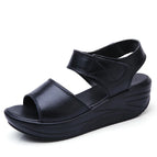 Black / 43