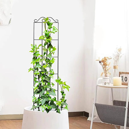 Plants Support Metal Trellis Black Iron Wire Vine Plants Trellis for Garden Enthusiasts Lovers