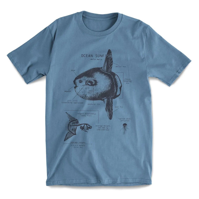 Seebarsch Anatomie T-Shirt Mola Mola Wissenschafts T-Shirt Tier Strand Meeresbiologie Strandüberzug Herren Kleidung Bequem