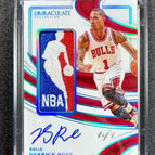 Derrick Rose