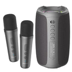 2 microphone