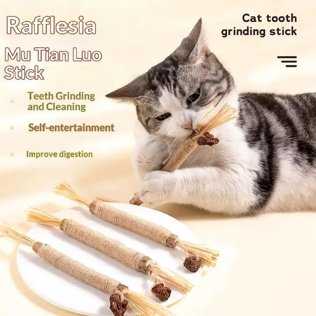 NEW 1/2PCS Cat Toys Made Of Wood Knotweed Teething Sticks Insect Galls Raffia Sisal Rope Teeth Cleaning - product image 2