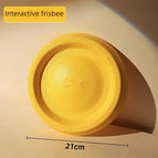 Frisbee training