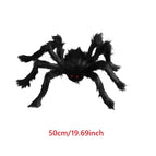50 cm