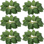 green leaves / 100PCS no box leaves