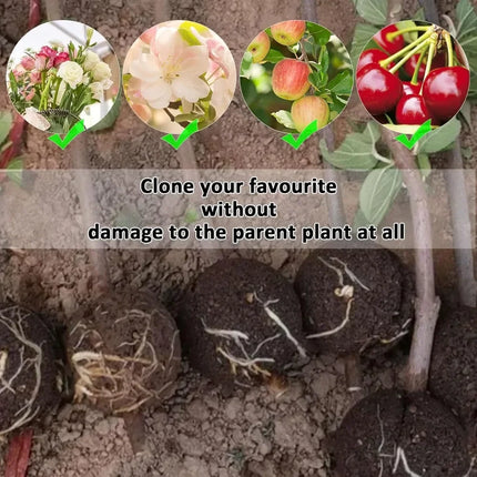 5/8/12cm Air Layering Pods Plant Rooting Ball High Pressure Propagation Root Grow Box Graft Breeding Case Planting Nursery Pot