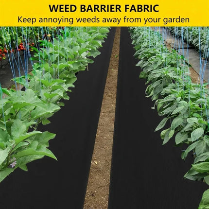 Garden rows lined with weed barrier fabric