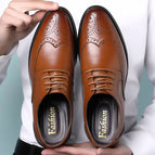 Yellow brown / 47