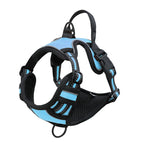 Blue / S(4-7KG)