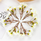 Milky White / 30pieces