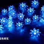 Lotus blue / 12m 100lds