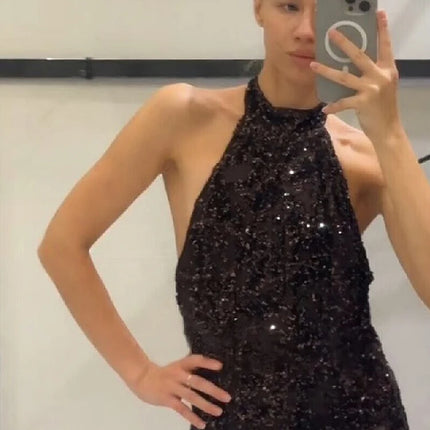 Elegant Sequin Shiny Halter Long Dress Fashion Sexy See Through Sleeveless Backless Slim Fit Gown NEW Lady Evening Party Outfit
