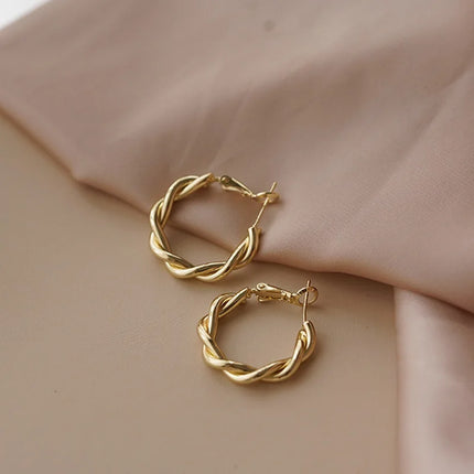 Needle Korean Twist Ear Ring Simple Earrings OL Commuter Exquisite Elegant Earrings All-match Earrings