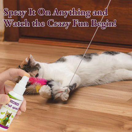Catnip Spray for Cats,Cat Scratching Spray to Boost Play,Calm Stress & Renew Toys,Transparent Cat & Kitten Behaviour Spray 60 ml