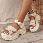 Beige / 42