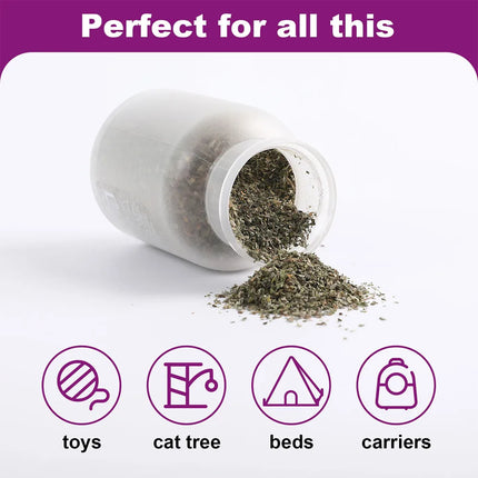 Organic Catnip Safe Premium Blend Perfect for Cats, Instilled with Maximized Potency your Kitty is Guaranteed to Go Crazy 100ML