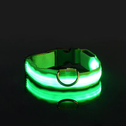 Nylon LED Night Safety Flashing Glow In The Dark Dog Leash Dogs Luminous Fluorescent Pet Dog Collar - product image from BSM