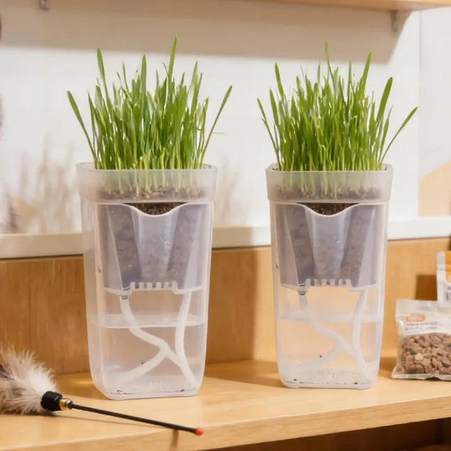 Transparent Flower Plant Pot Self Watering Planter Drainage Holes Seedling Propagation Container - product image 2