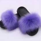 PURPLE / 36-37