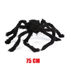 75 cm