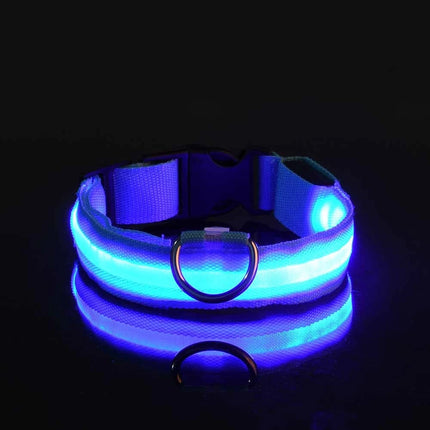 Nylon LED Night Safety Flashing Glow In The Dark Dog Leash Dogs Luminous Fluorescent Pet Dog Collar - product image from BSM