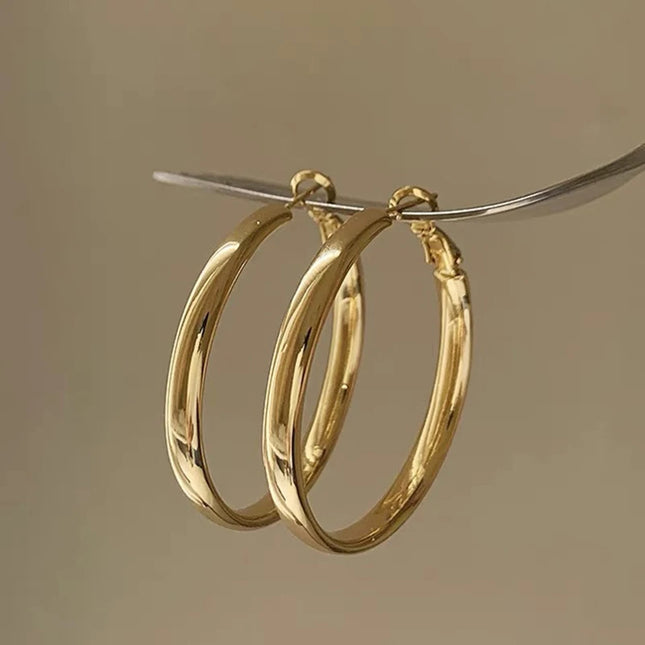 Fashion Large Flat Hoop Earrings Geometric Big Circle Earrings for Women Exaggerate Circle Brincos Punk - product image 2