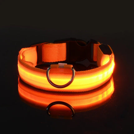 Nylon LED Night Safety Flashing Glow In The Dark Dog Leash Dogs Luminous Fluorescent Pet Dog Collar - product image from BSM
