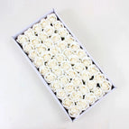 color 1 / 50 pcs