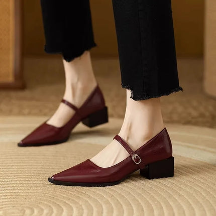 French Pointed Toe Shallow Mouth Block Heel Single Shoes Women's 2026 Spring and Autumn New One-line Strap Shoes