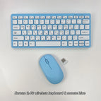 Korean combo blue