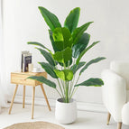 65cm 12 Leaves